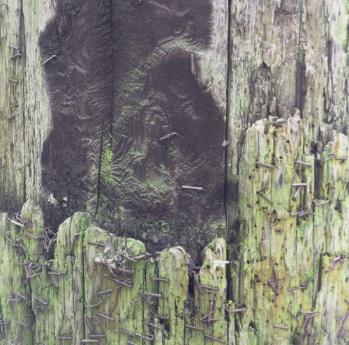 Hallowed Hands : Bleeding Pixels